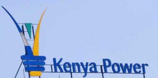 Kenya Power And Lighting Company Shareholders