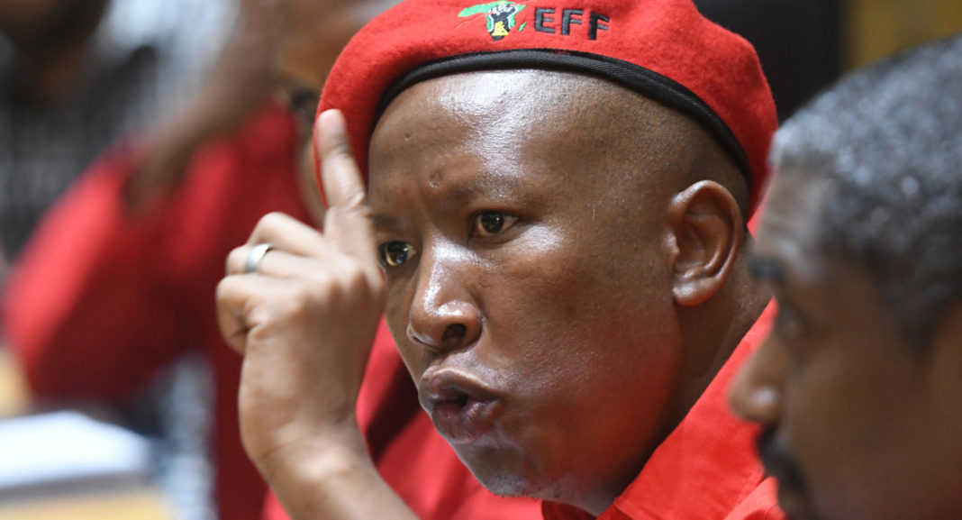 Julius Malema Net Worth, Businesses And Salary