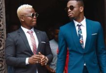 DIAMOND Platnumz VS HARMONIZE Net Worth, Number Of Hits, And Charges Per Show