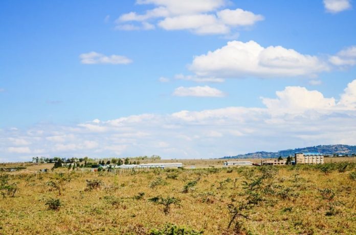 Where To Buy Affordable Land In Kenya And Prices 