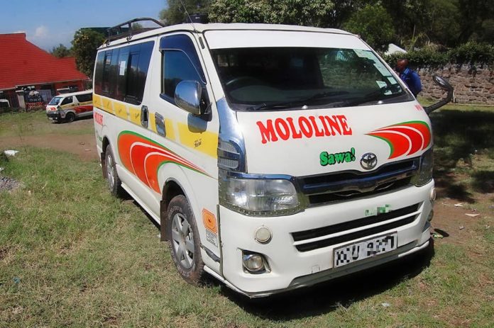 MoloLine Services Founder, Transformation, Routes, Fares And Contacts
