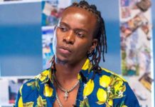 Willy Paul Biography, Age, Background, Career, Marriage And Controversies