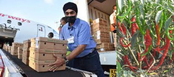 Balminder Singh Sokhi: Former Mechanical Engineer Minting Millions from Chili Farming