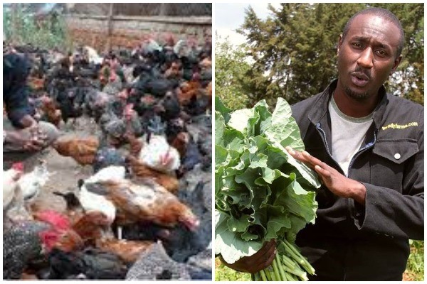 Caleb Karuga: Fired From K24, Found Gold In Farming