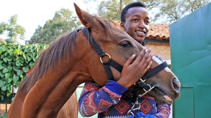 Cost of Breeding A Horse in Kenya 