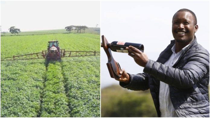 David James Kimoi Moi: Scion Of Gideon Who Quit Engineering For Farming