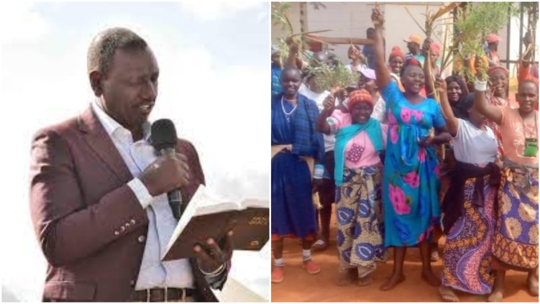 Kisima Farm: The 1000 Acre Farm In Taita Taveta Owned By DP William Ruto