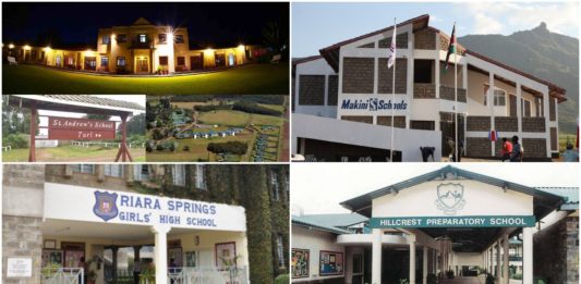 Billionaires Behind Kenya’s Most Prestigious International Schools 