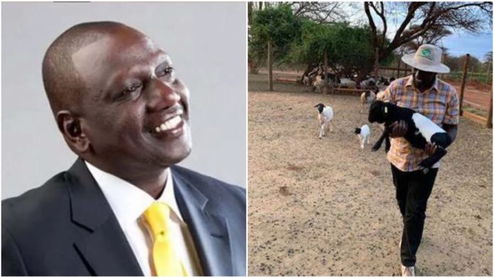 A Sneak Peek Into DP Ruto's 900-Acre Narok Land That Belonged to Former Vice President Joseph Murumbi