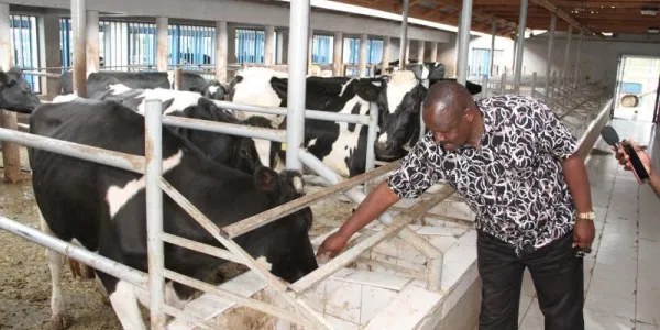 File image of Former Bomet Governor Isaac Ruto at his Tumoi dairy farm. |Courtesy| Facebook|