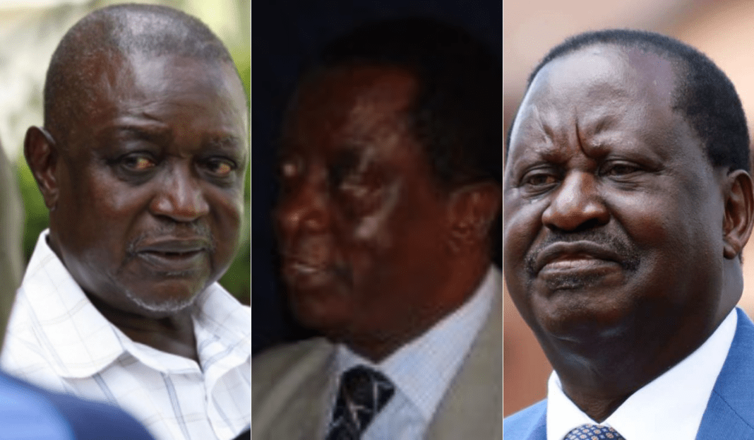 Schools the Odingas Attended and The Courses They Studied