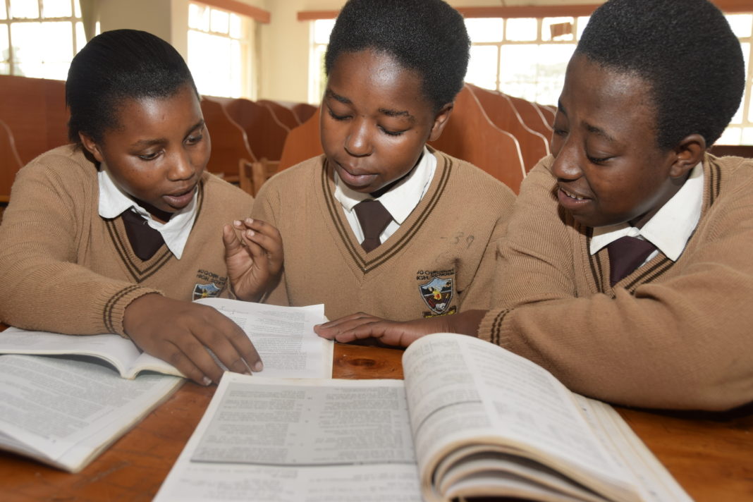 We Should Encourage Students To Read Widely