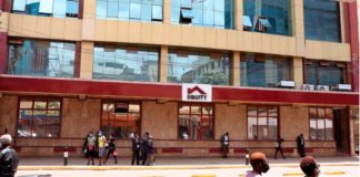 Equity Bank Top Owner And Other Investments Under Their Name
