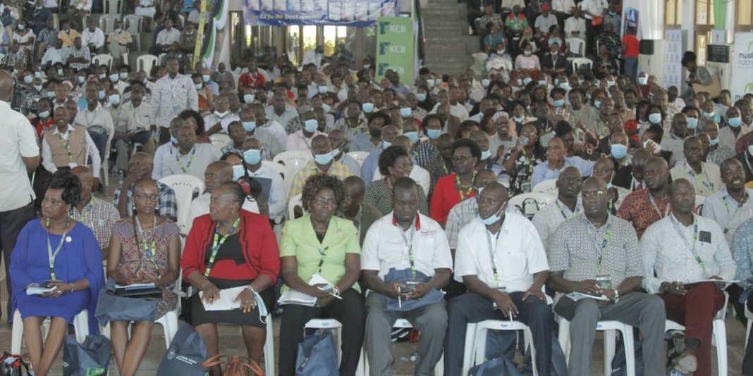 Principals Should Prioritise Matters Mental Wellness 