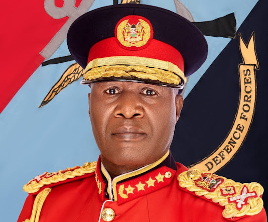 Robert Kibochi: Meet The First Sitting Military Commander To Earn A PhD In Kenya