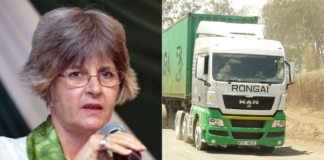 Vanessa Evans: Woman Running Multi-Billion Rongai Workshop and Transport Limited