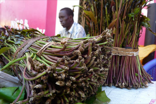 Musa Gurian: The Miraa Farmer Who Owns 12 Private Planes