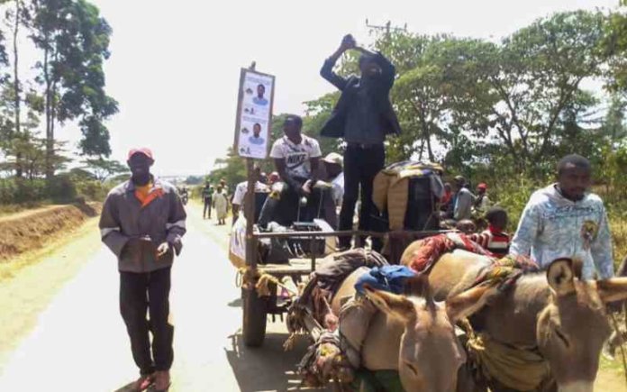 George Nene: The 22-year-old Elementaita Ward MCA-elect Who Campaigned On Donkey Cart, Had Only One Shirt