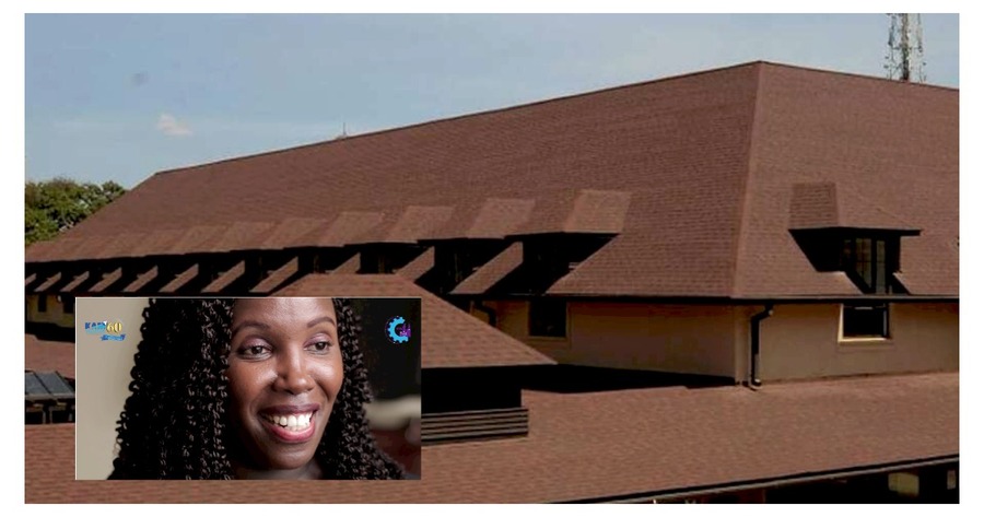 Roofing Queen: How REXE CEO Irene Wanjiku Built A Thriving Roofing Business Empire