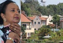 Ahmed Jibril: The Tycoon Brother Of CS Amina Who Owns 748 Air Services, Planned To Construct Sh1 Billion Hotel In Runda