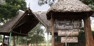 Mbugua Mwangi: The Kiambu Billionaire Who Owned Paradise Lost, Investments Worth Ksh 2.1 Billion