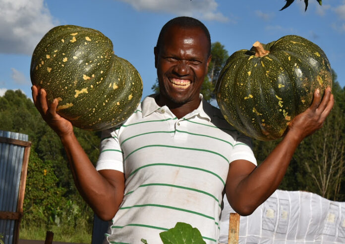 Paul Munyaga: Farmer Earning A Fortune From Pumpkins 