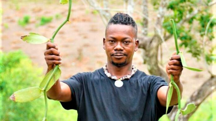 Andrew Simiyu: The Vanilla Farmer Making Upto Sh25,000 Per Kg From The Crop