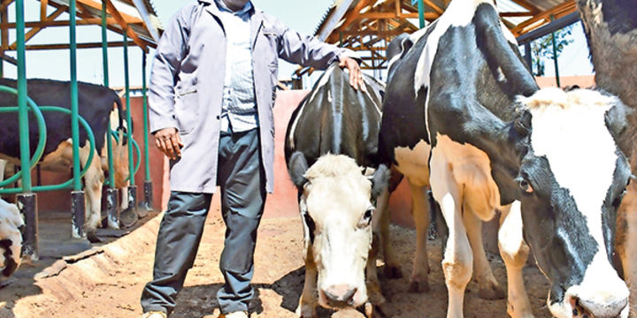 Evans Gitau: School Dropout Turned Matatu Tout And Driver Now Making A Killing In The Dairy Industry
