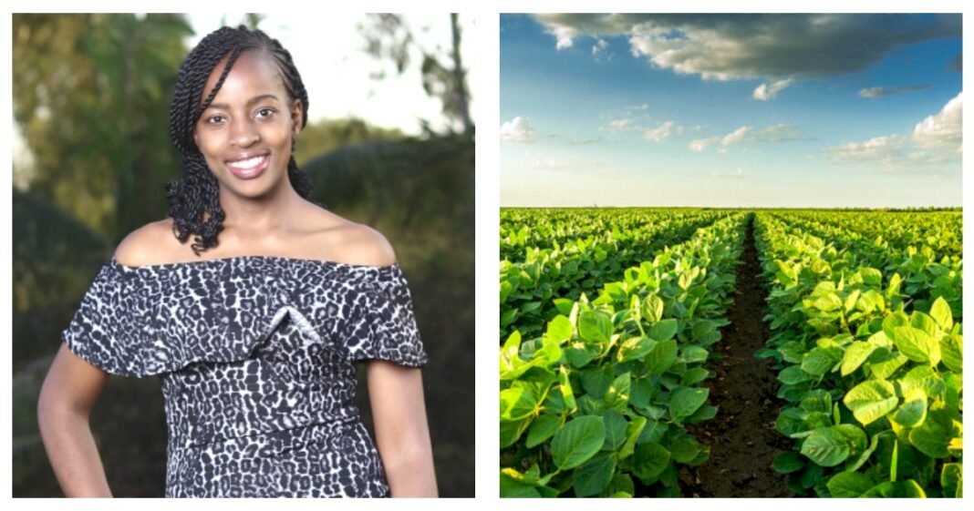 Esther Kimani: Innovator Of Device That Detects Crops Diseases And Pests At Early Stages
