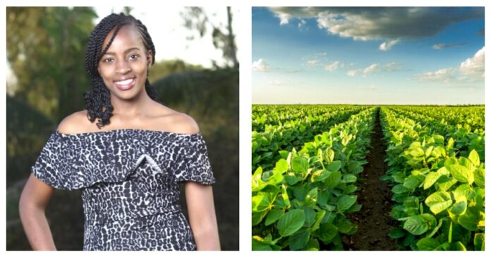 Esther Kimani: Innovator Of Device That Detects Crops Diseases And Pests At Early Stages