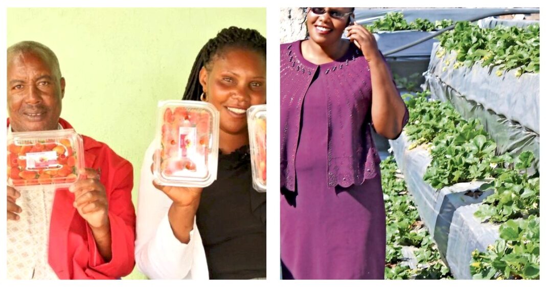 The Kinuthias: Couple Who Survived On Hawking Strawberries Now Supply To Supermarket Chains, Make Jam And Juice