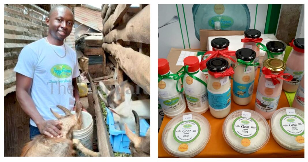 Kevin Uduny: City Dweller Minting Cash From Goat Milk, Now Making Yoghurt, Cheese And Ice Sticks