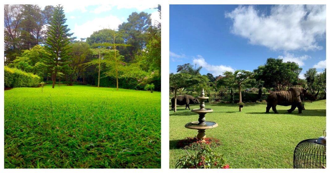 The Ten Best Wedding Venues In Eldoret 