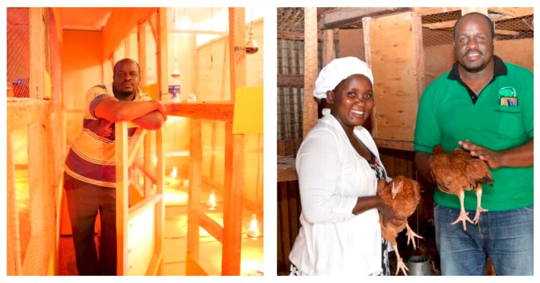Andrew Ashibila: Chicken Farmer Making Ksh4 Million Yearly In An 1/8 Piece of Land 