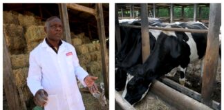 Willy Kirwa: How Form Two Dropout Found Millions In Dairy Farming, Now Largest Milk Supplier In Eldoret