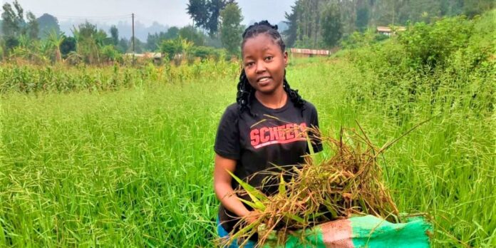 Teresa Kibiri: 25-year-old Making A Fortune From Farming Grass 