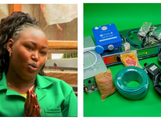 Carolyn Wanjiku: Waitress Who Founded Successful Biogas Company With Ksh100K