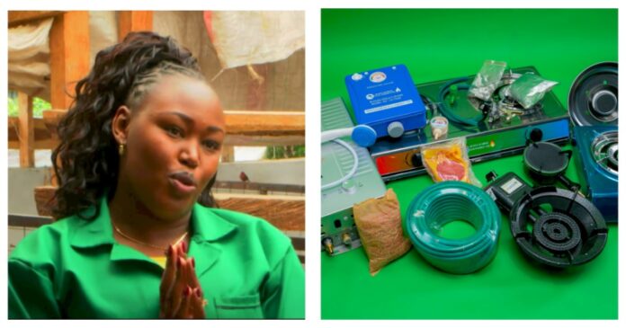 Carolyn Wanjiku: Waitress Who Founded Successful Biogas Company With Ksh100K