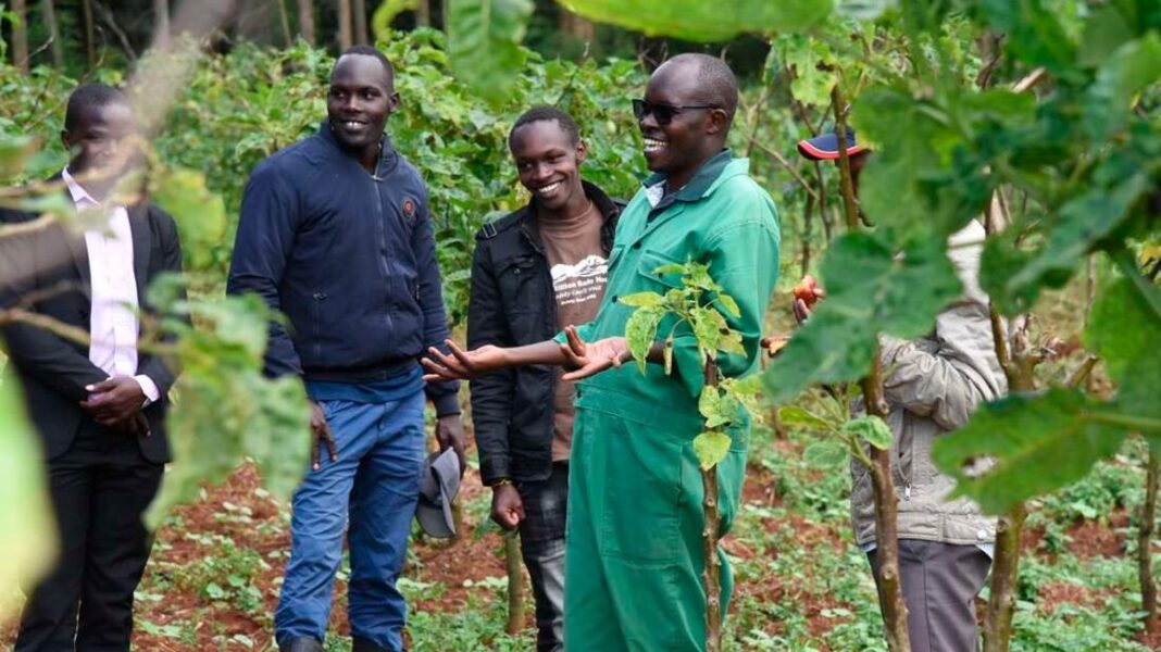 Nicholas Kipchirchir: Engineer Who Resigned From Ksh 250K Per Month Job To Do Farming