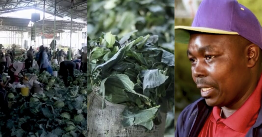 Richard Ngatia: Nakuru Trader Who Has Educated His Kids To University, Bought Land By Selling Cabbage Waste