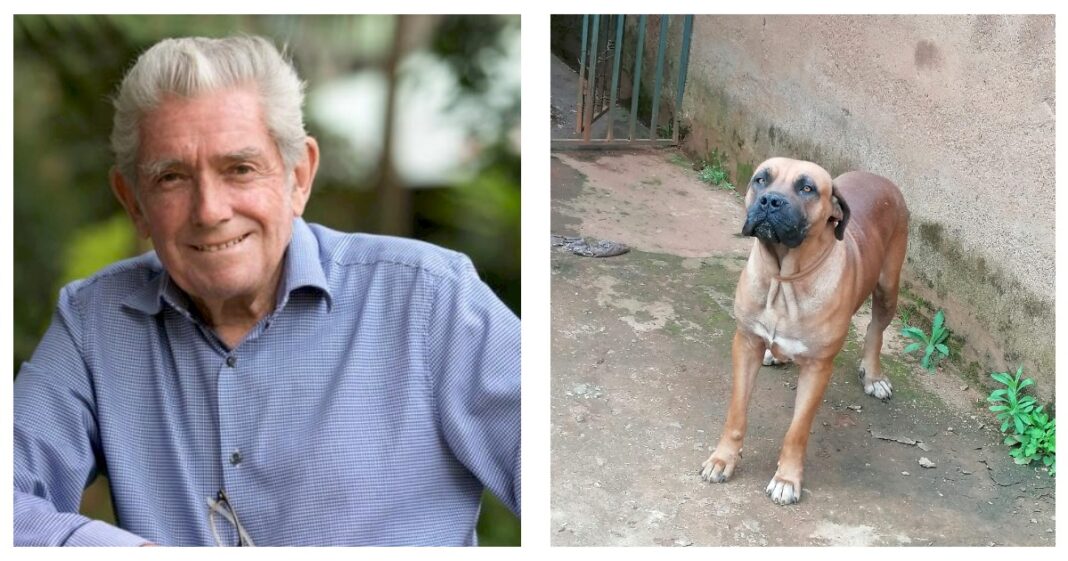 Lee Funeral Home: Crematorium Charging Upto 42,000 To Give Decent Send-Off To Pets