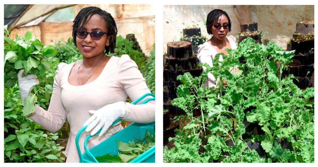Mutile Wambua: Moi University Graduate Making Over Ksh100K Per Month From Multi-Storeyed Farming From Ksh20K Capital