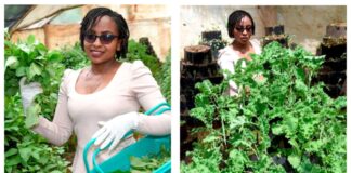 Mutile Wambua: Moi University Graduate Making Over Ksh100K Per Month From Multi-Storeyed Farming From Ksh20K Capital