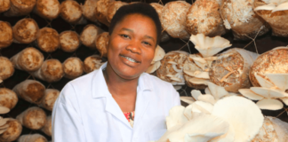 Consolata Njeri: How Entrepreneur Founded Success In Mushroom Farming With Ksh1,800 Capital, Now Makes Upto Ksh720 Per Kg