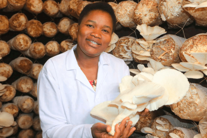 Consolata Njeri: How Entrepreneur Founded Success In Mushroom Farming With Ksh1,800 Capital, Now Makes Upto Ksh720 Per Kg