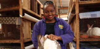 Mercy Munene: Entrepreneur Finds Success In Rabbit Farming, Slaughters Upto 20 Rabbits Per Week, Sells Urine