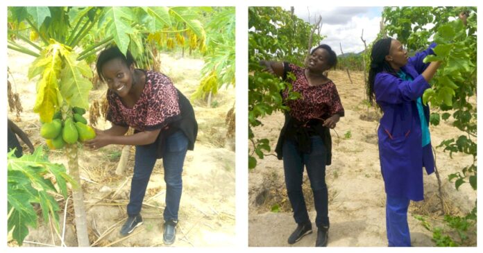 Margaret Mutheu: Pawpaw, Passion Fruits Farmer Now Making Upto Ksh100K Per Month After Losing Ksh446,000 In watermelon Farming