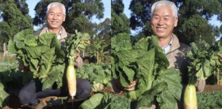 Yohan Kim: South Korean Who Came To Kenya As A Missionary Finds Success In Farming