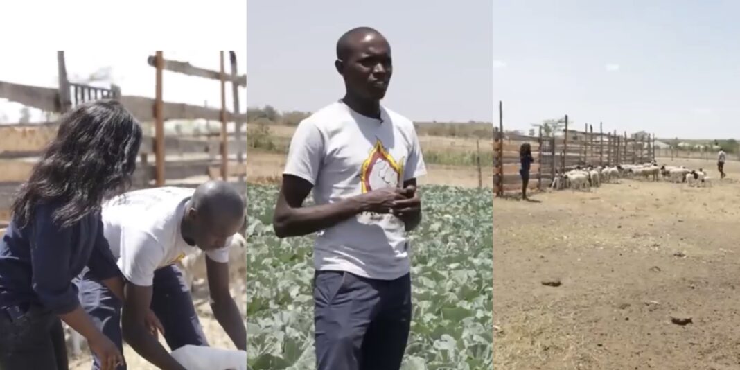 Oscar Kasirimo: Multimedia University Graduate Finds Success In Farming After Failing To Secure A Job