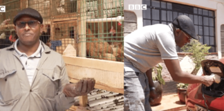 Antony: Kenyan Farmer Using ‘Chicken Poop’ To Power His Home, Car And Boiler.